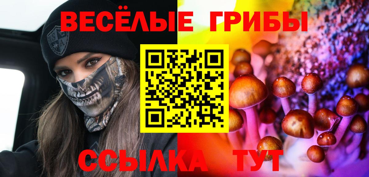 Кыштым  Галлюциногенные грибы MAGIC MUSHROOMS  Галлюциногенные грибы Psilocybe  Вход с VPN 